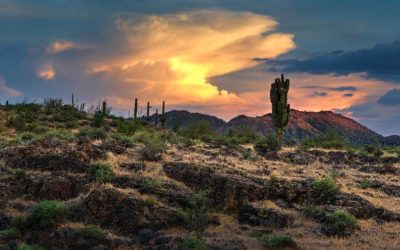 Arizona Monsoons: How To Prepare Your Roof