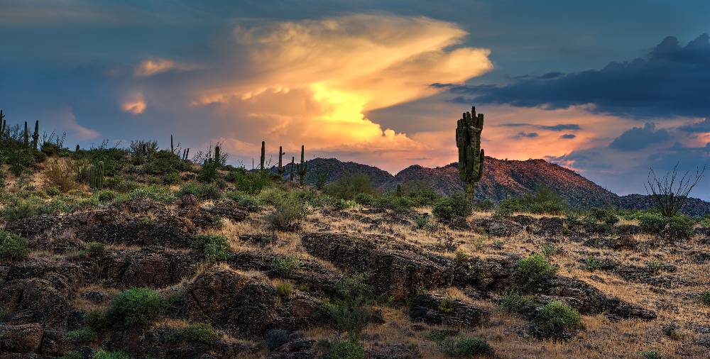 Arizona Monsoons: How To Prepare Your Roof